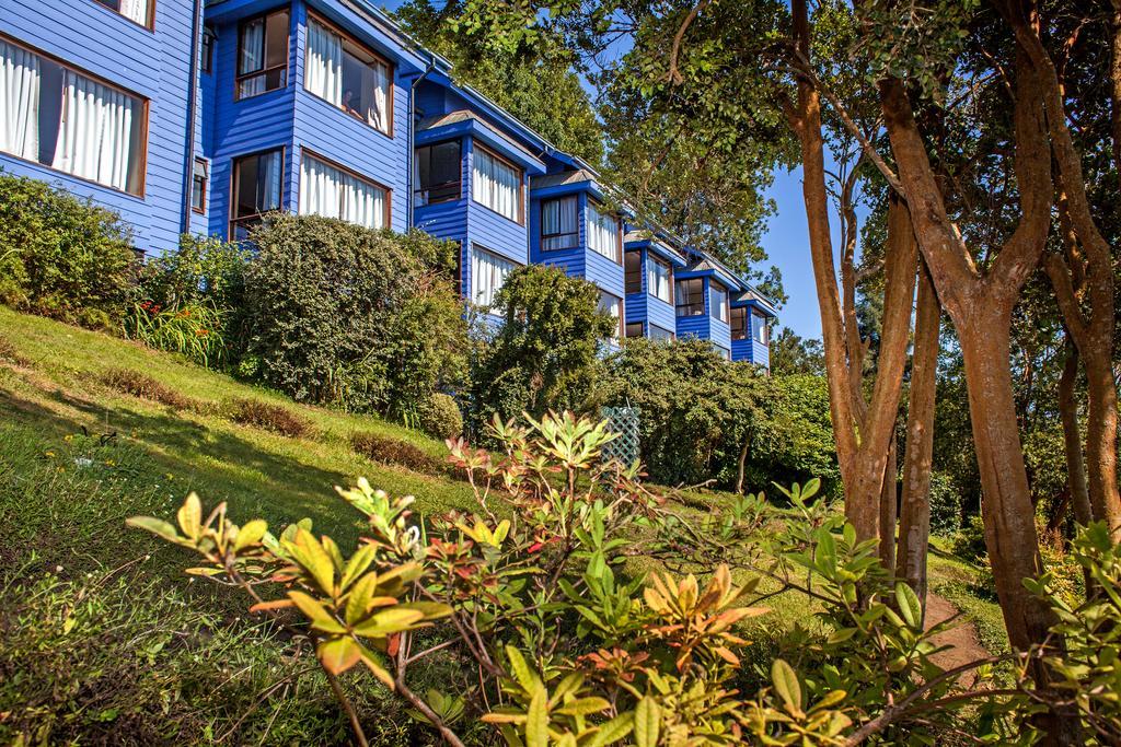 Hotel Elun, La Mejor Vista 프루티야르 외부 사진
